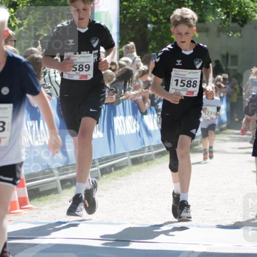 17.05.2025 - Störlauf H.Heesch http://msf.ph/oto/7898078 17.05.2025 14:43:12 Ziel 263, 2025, 589, 1588, 1231, 1248 meine-sportfotos.de