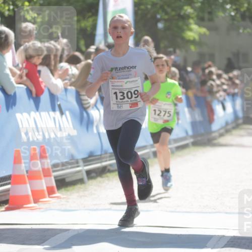 17.05.2025 - Störlauf H.Heesch http://msf.ph/oto/7898207 17.05.2025 14:43:26 Ziel 2025, 1309, 1275 meine-sportfotos.de