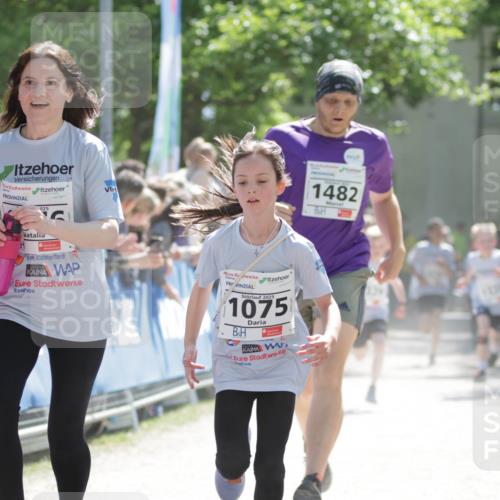17.05.2025 - Störlauf H.Heesch http://msf.ph/oto/7898338 17.05.2025 14:43:51 Ziel 025, 2025, 1075, 1482 meine-sportfotos.de