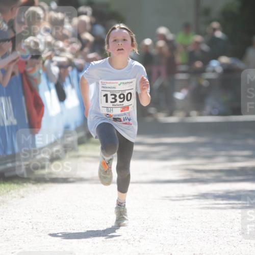 17.05.2025 - Störlauf H.Heesch http://msf.ph/oto/7898411 17.05.2025 14:44:02 Ziel 2025, 1390 meine-sportfotos.de