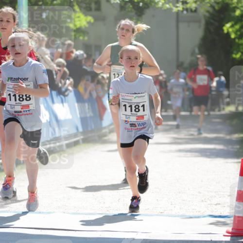 17.05.2025 - Störlauf H.Heesch http://msf.ph/oto/7898595 17.05.2025 14:44:32 Ziel 1188, 2025, 1181 meine-sportfotos.de