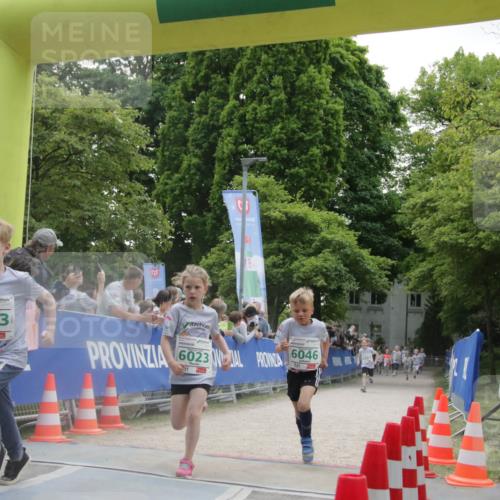 17.05.2025 - Störlauf H.Heesch http://msf.ph/oto/7898601 17.05.2025 13:17:00 Ziel 6013, 6023, 6046 meine-sportfotos.de