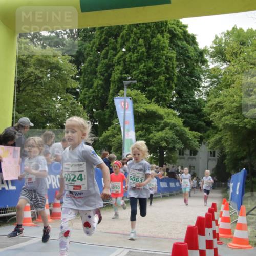 17.05.2025 - Störlauf H.Heesch http://msf.ph/oto/7898625 17.05.2025 13:17:09 Ziel 24, 6010, 6063 meine-sportfotos.de