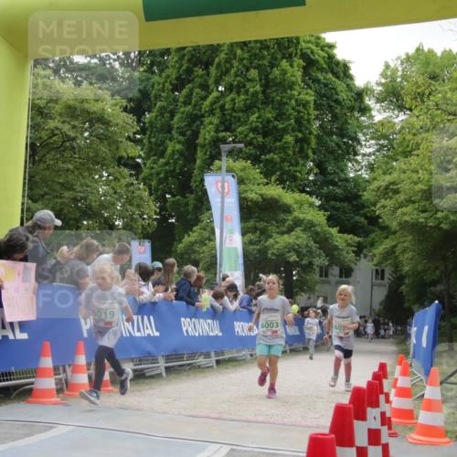 17.05.2025 - Störlauf H.Heesch http://msf.ph/oto/7898639 17.05.2025 13:17:11 Ziel 019, 6003 meine-sportfotos.de
