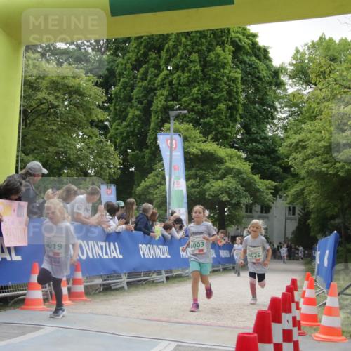 17.05.2025 - Störlauf H.Heesch http://msf.ph/oto/7898646 17.05.2025 13:17:11 Ziel 5, 6003, 6026 meine-sportfotos.de