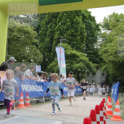 17.05.2025 - Störlauf H.Heesch http://msf.ph/oto/7898670 17.05.2025 13:17:24 Ziel 18, 6005, 6053, 147 meine-sportfotos.de