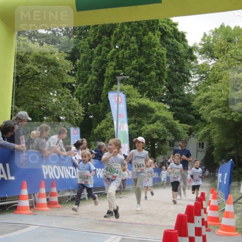 17.05.2025 - Störlauf H.Heesch http://msf.ph/oto/7898687 17.05.2025 13:17:28 Ziel 00, 6004, 1365 meine-sportfotos.de