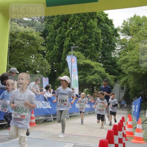 17.05.2025 - Störlauf H.Heesch http://msf.ph/oto/7898694 17.05.2025 13:17:29 Ziel 6048, 6004, 1365, 6015, 6059 meine-sportfotos.de