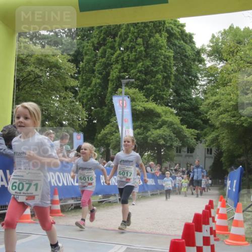 17.05.2025 - Störlauf H.Heesch http://msf.ph/oto/7898725 17.05.2025 13:17:35 Ziel 2025, 071, 16, 6017, 6050 meine-sportfotos.de