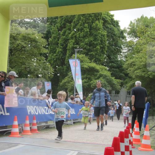 17.05.2025 - Störlauf H.Heesch http://msf.ph/oto/7898736 17.05.2025 13:17:39 Ziel 50 meine-sportfotos.de
