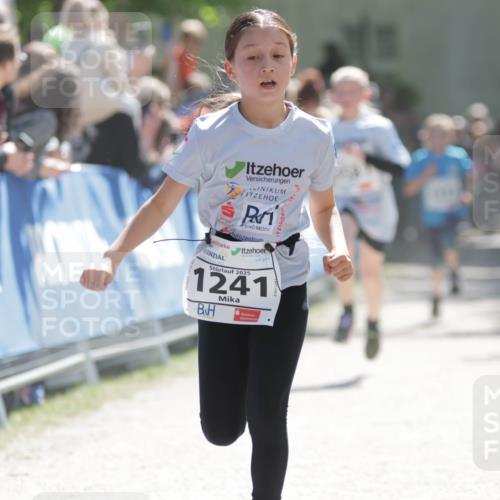 17.05.2025 - Störlauf H.Heesch http://msf.ph/oto/7898787 17.05.2025 14:45:03 Ziel 2025, 1241 meine-sportfotos.de