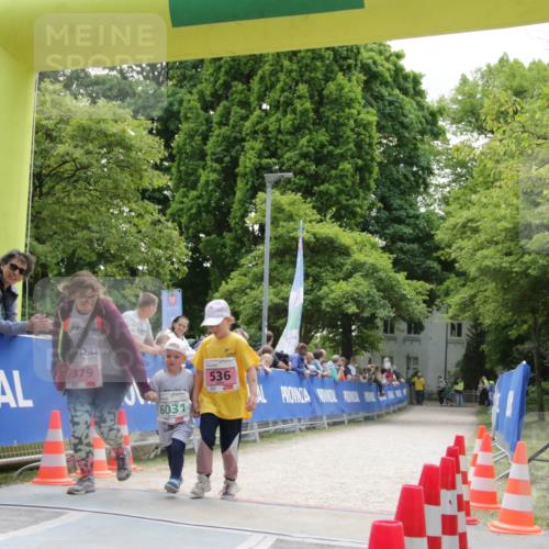 17.05.2025 - Störlauf H.Heesch http://msf.ph/oto/7898796 17.05.2025 13:18:58 Ziel 379, 536 meine-sportfotos.de