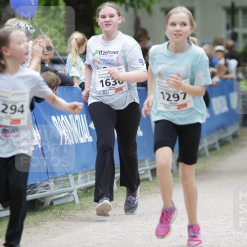 17.05.2025 - Störlauf H.Heesch http://msf.ph/oto/7898847 17.05.2025 15:00:22 Ziel 1916, 1294, 1630, 1297 meine-sportfotos.de