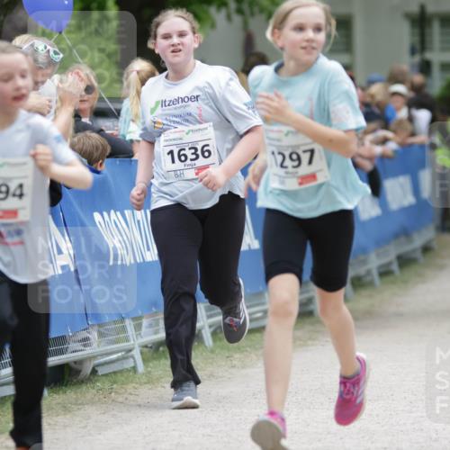17.05.2025 - Störlauf H.Heesch http://msf.ph/oto/7898851 17.05.2025 15:00:22 Ziel 1516, 20, 1294, 2025, 1636, 1297 meine-sportfotos.de