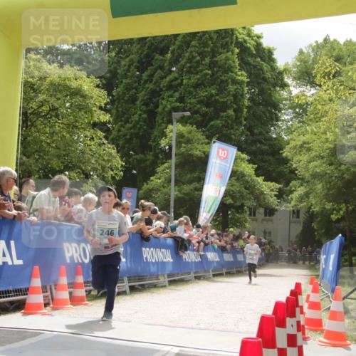 17.05.2025 - Störlauf H.Heesch http://msf.ph/oto/7898870 17.05.2025 13:40:04 Ziel 246 meine-sportfotos.de