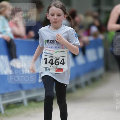 17.05.2025 - Störlauf H.Heesch http://msf.ph/oto/7898980 17.05.2025 15:01:02 Ziel 2025, 1464 meine-sportfotos.de