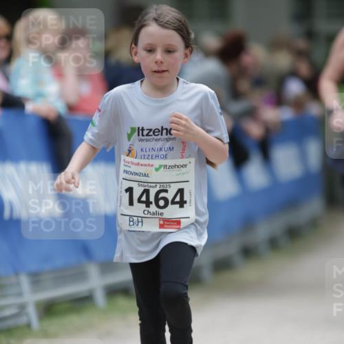 17.05.2025 - Störlauf H.Heesch http://msf.ph/oto/7898985 17.05.2025 15:01:02 Ziel 2025, 1464 meine-sportfotos.de