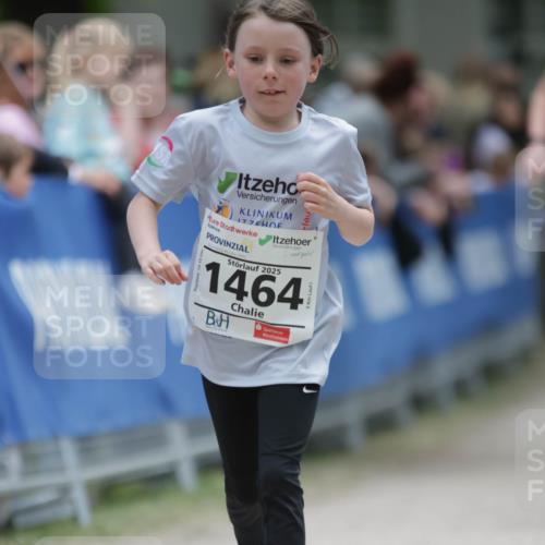 17.05.2025 - Störlauf H.Heesch http://msf.ph/oto/7898988 17.05.2025 15:01:02 Ziel 2025, 1464 meine-sportfotos.de