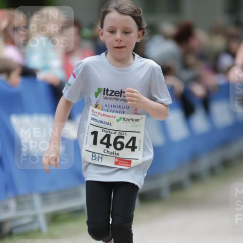 17.05.2025 - Störlauf H.Heesch http://msf.ph/oto/7898991 17.05.2025 15:01:02 Ziel 2025, 1464 meine-sportfotos.de