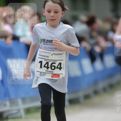 17.05.2025 - Störlauf H.Heesch http://msf.ph/oto/7898995 17.05.2025 15:01:02 Ziel 2025, 1464 meine-sportfotos.de