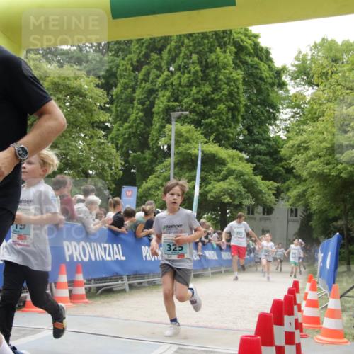 17.05.2025 - Störlauf H.Heesch http://msf.ph/oto/7899001 17.05.2025 13:42:15 Ziel 2025, 210, 2, 221, 325 meine-sportfotos.de