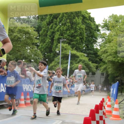 17.05.2025 - Störlauf H.Heesch http://msf.ph/oto/7899032 17.05.2025 13:42:20 Ziel 2025, 15, 133, 241, 263, 360 meine-sportfotos.de