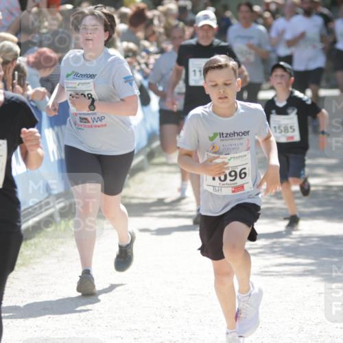 17.05.2025 - Störlauf H.Heesch http://msf.ph/oto/7899045 17.05.2025 14:45:54 Ziel 1177, 11, 2025, 096, 1585 meine-sportfotos.de