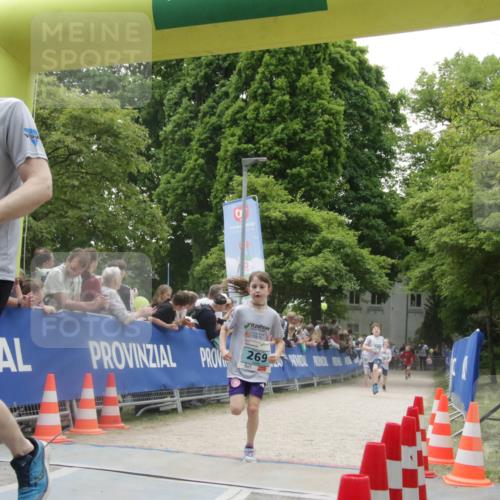 17.05.2025 - Störlauf H.Heesch http://msf.ph/oto/7899236 17.05.2025 13:43:58 Ziel 333, 25 meine-sportfotos.de