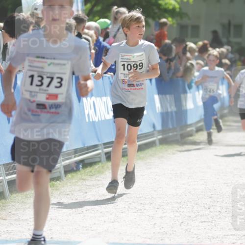 17.05.2025 - Störlauf H.Heesch http://msf.ph/oto/7899300 17.05.2025 14:46:38 Ziel 1373, 1099, 45, 1315, 44 meine-sportfotos.de