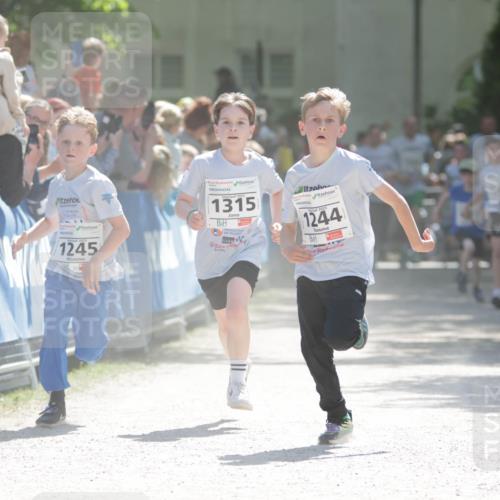 17.05.2025 - Störlauf H.Heesch http://msf.ph/oto/7899306 17.05.2025 14:46:39 Ziel 99, 1245, 1315, 1244 meine-sportfotos.de