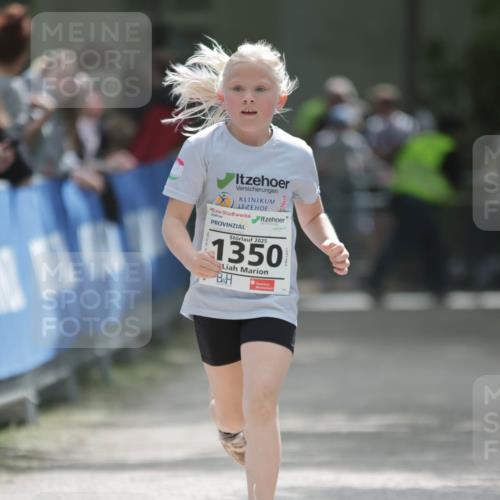 17.05.2025 - Störlauf H.Heesch http://msf.ph/oto/7899326 17.05.2025 15:04:47 Ziel 2025, 1350 meine-sportfotos.de