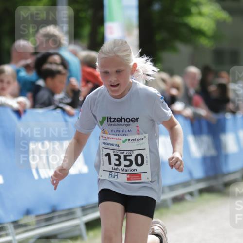 17.05.2025 - Störlauf H.Heesch http://msf.ph/oto/7899381 17.05.2025 15:04:50 Ziel 2025, 1350 meine-sportfotos.de