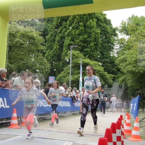 17.05.2025 - Störlauf H.Heesch http://msf.ph/oto/7899383 17.05.2025 13:44:52 Ziel 239, 26, 244, 85 meine-sportfotos.de