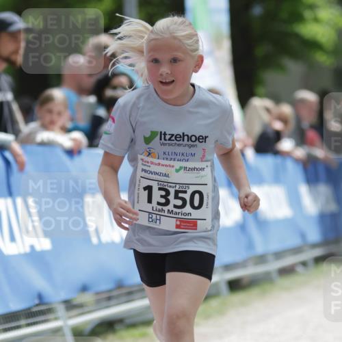 17.05.2025 - Störlauf H.Heesch http://msf.ph/oto/7899387 17.05.2025 15:04:50 Ziel 2025, 1350 meine-sportfotos.de