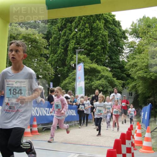 17.05.2025 - Störlauf H.Heesch http://msf.ph/oto/7899461 17.05.2025 13:45:12 Ziel 184, 6 meine-sportfotos.de