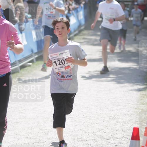17.05.2025 - Störlauf H.Heesch http://msf.ph/oto/7899644 17.05.2025 14:47:29 Ziel 2025, 1336, 1097, 2025, 1205, 25 meine-sportfotos.de