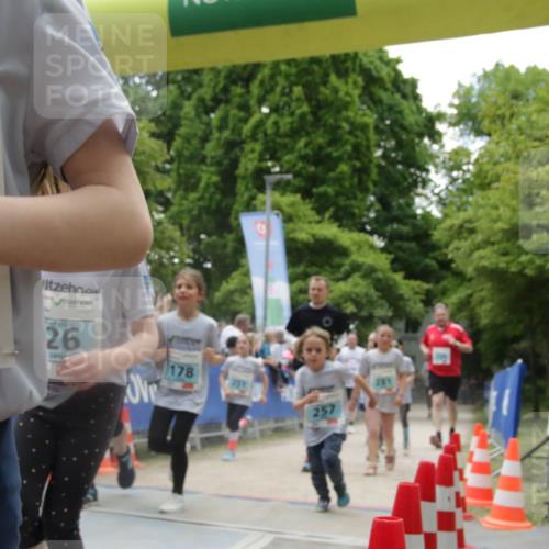17.05.2025 - Störlauf H.Heesch http://msf.ph/oto/7899672 17.05.2025 13:45:36 Ziel 2, 2025, 26, 178, 257 meine-sportfotos.de