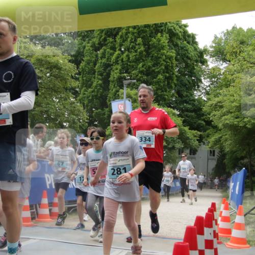 17.05.2025 - Störlauf H.Heesch http://msf.ph/oto/7899708 17.05.2025 13:45:38 Ziel 51, 281, 334 meine-sportfotos.de