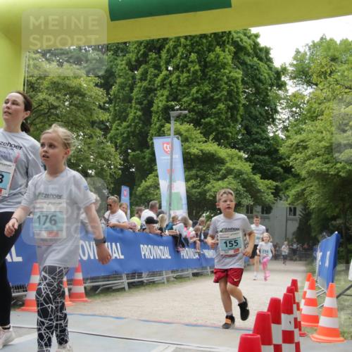 17.05.2025 - Störlauf H.Heesch http://msf.ph/oto/7899754 17.05.2025 13:45:47 Ziel 243, 176, 155, 214 meine-sportfotos.de