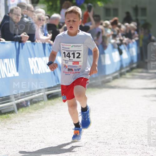 17.05.2025 - Störlauf H.Heesch http://msf.ph/oto/7899884 17.05.2025 14:48:19 Ziel 2025, 1412 meine-sportfotos.de