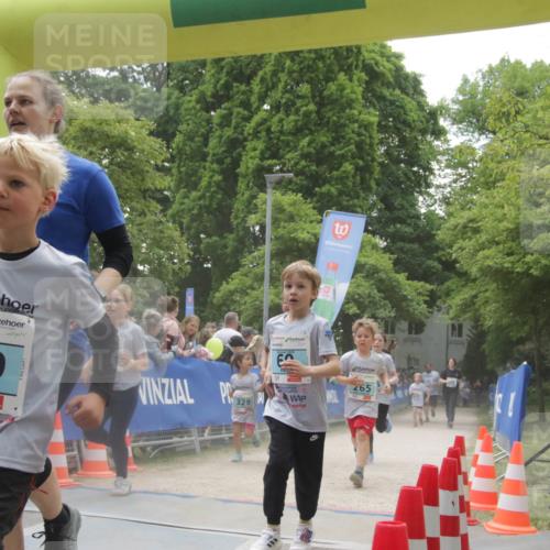 17.05.2025 - Störlauf H.Heesch http://msf.ph/oto/7899899 17.05.2025 13:46:19 Ziel 20, 2025, 120, 1 meine-sportfotos.de