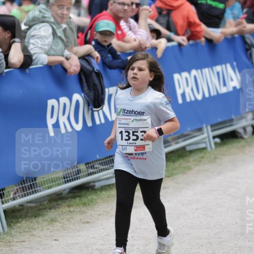 17.05.2025 - Störlauf H.Heesch http://msf.ph/oto/7899905 17.05.2025 15:16:26 Ziel 2025, 1353 meine-sportfotos.de