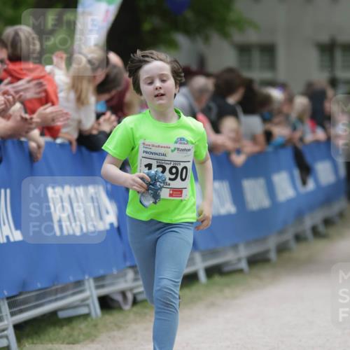 17.05.2025 - Störlauf H.Heesch http://msf.ph/oto/7899957 17.05.2025 15:17:59 Ziel 2025, 290 meine-sportfotos.de
