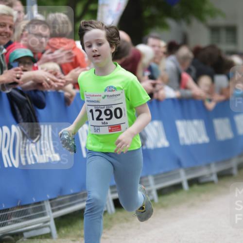17.05.2025 - Störlauf H.Heesch http://msf.ph/oto/7899960 17.05.2025 15:17:59 Ziel 2025, 1290 meine-sportfotos.de