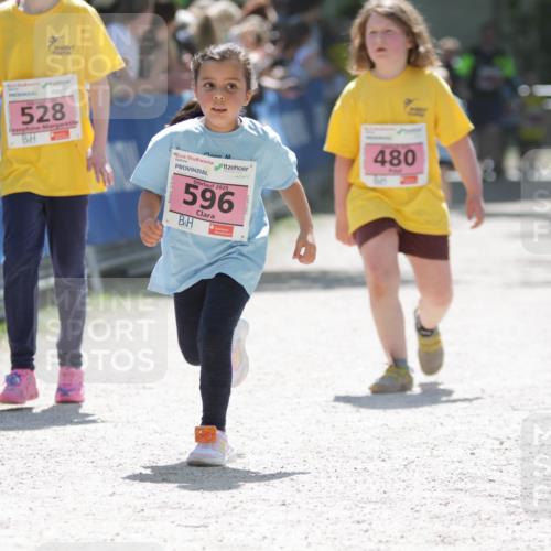 17.05.2025 - Störlauf H.Heesch http://msf.ph/oto/7900062 17.05.2025 14:01:01 Ziel 528, 2025, 596, 480 meine-sportfotos.de