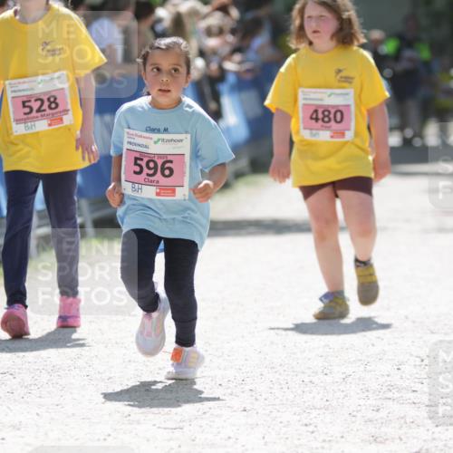 17.05.2025 - Störlauf H.Heesch http://msf.ph/oto/7900066 17.05.2025 14:01:01 Ziel 528, 2025, 596, 480 meine-sportfotos.de
