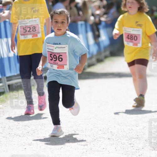 17.05.2025 - Störlauf H.Heesch http://msf.ph/oto/7900071 17.05.2025 14:01:01 Ziel 528, 2025, 596, 480 meine-sportfotos.de