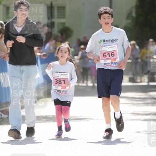 17.05.2025 - Störlauf H.Heesch http://msf.ph/oto/7900224 17.05.2025 14:01:34 Ziel 381, 2025, 616 meine-sportfotos.de