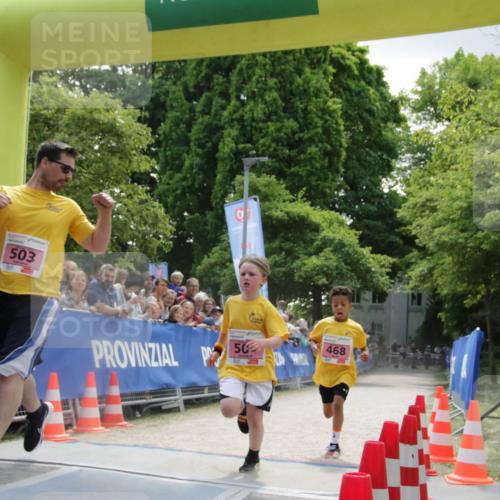 17.05.2025 - Störlauf H.Heesch http://msf.ph/oto/7900240 17.05.2025 13:55:25 Ziel 503 meine-sportfotos.de