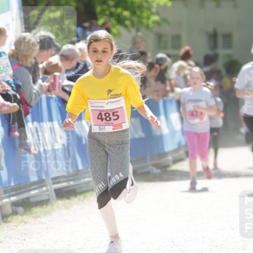 17.05.2025 - Störlauf H.Heesch http://msf.ph/oto/7900260 17.05.2025 14:01:40 Ziel 607, 2025, 485, 424, 1994 meine-sportfotos.de